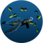 Acoustics6 Turtle.png