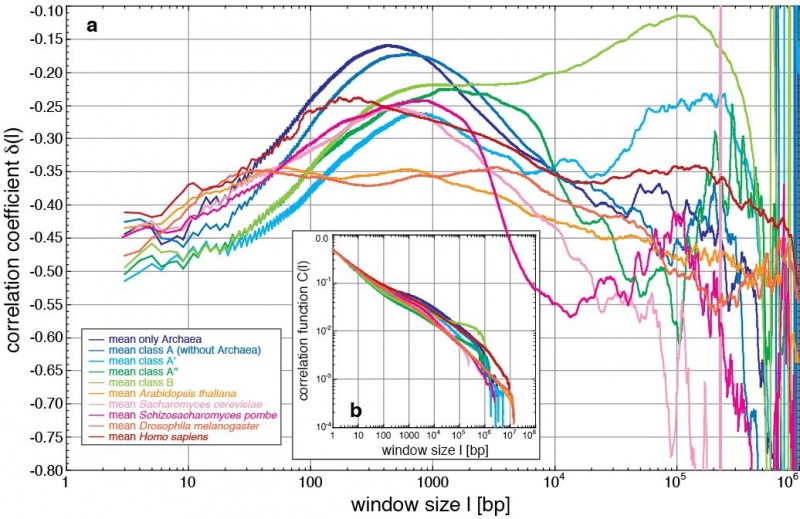Datei:Corr Analysis.jpg